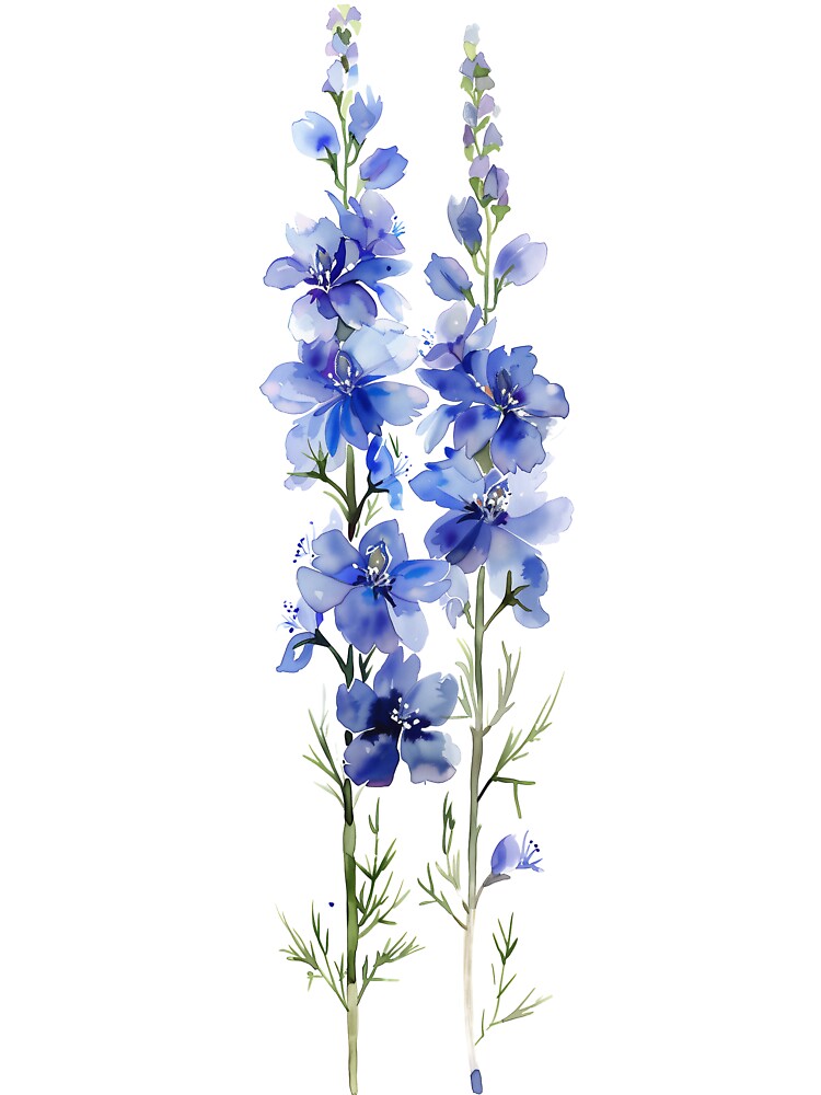 Watercolor Delphinium Flower by junkydotcom