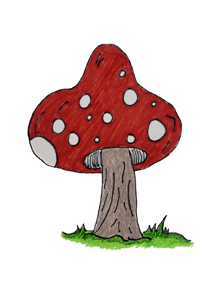 Red Mushroom Drawing by Nina Baldwin