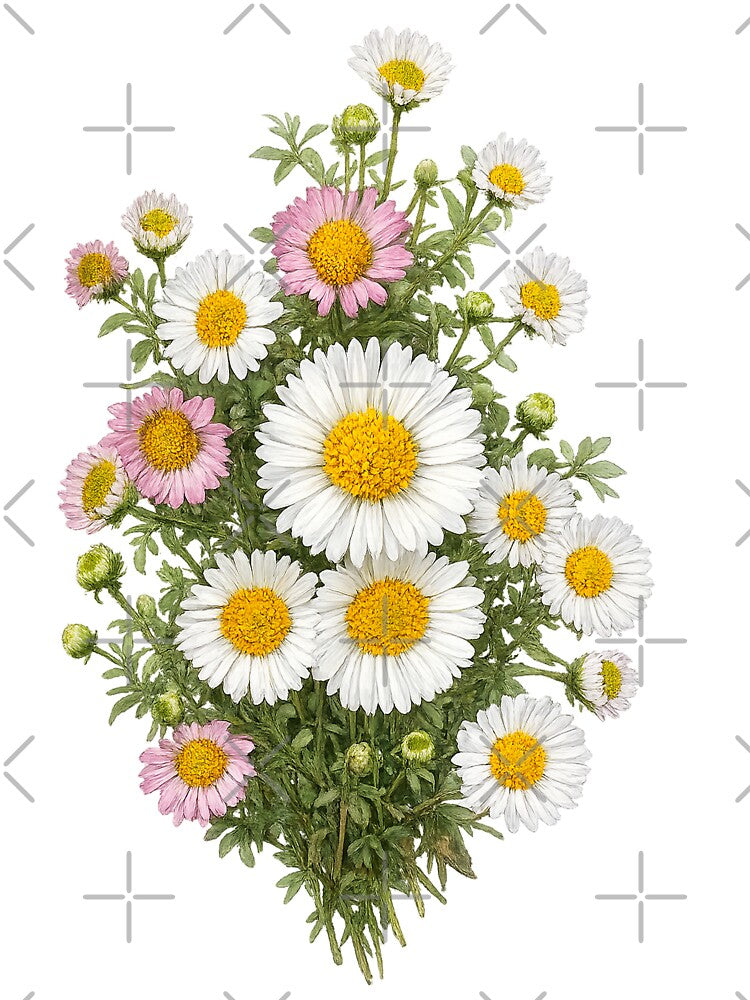 Wild Daisy Flower by Silver  Stone