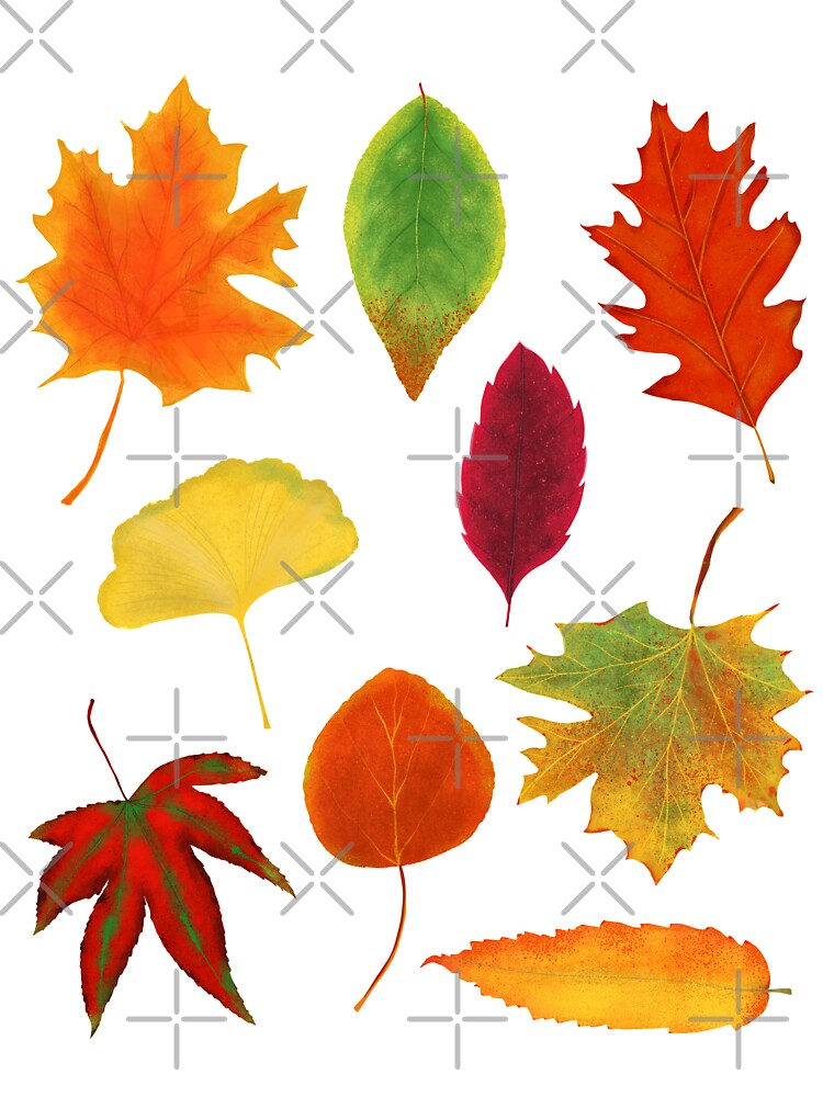 Fall Leaves by jenbucheli