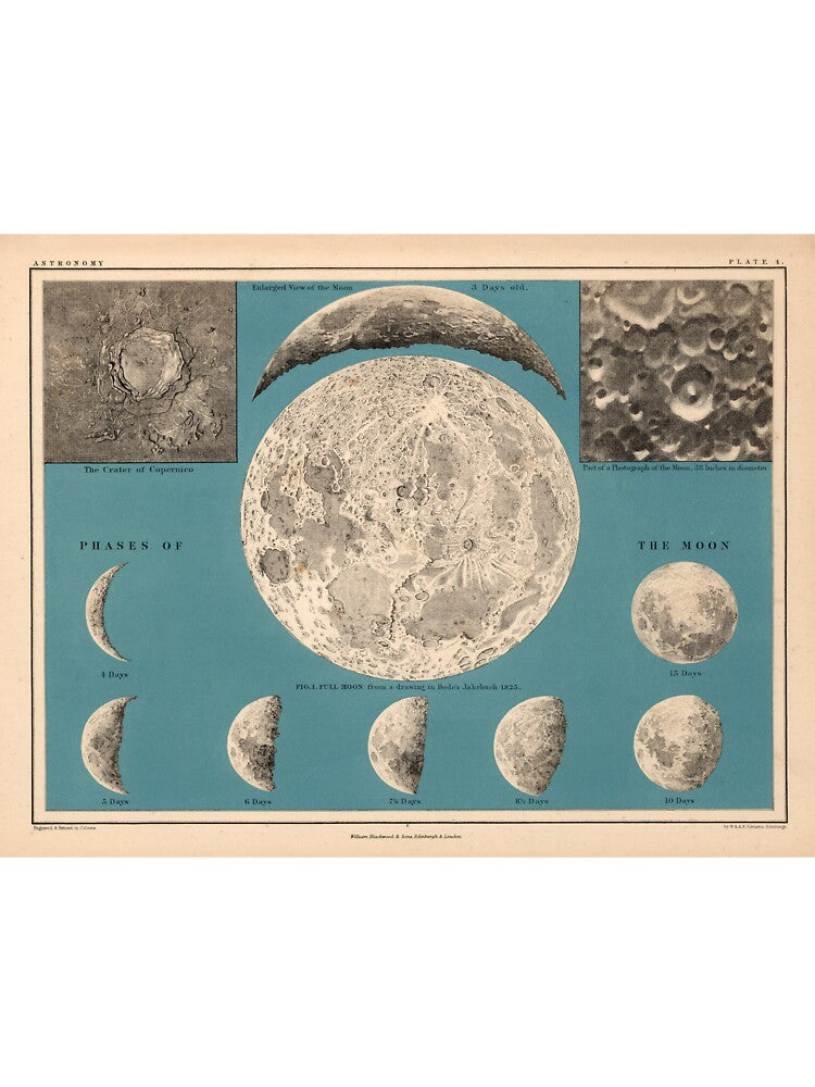 Vintage Map of the Moon (1869) by BravuraMedia