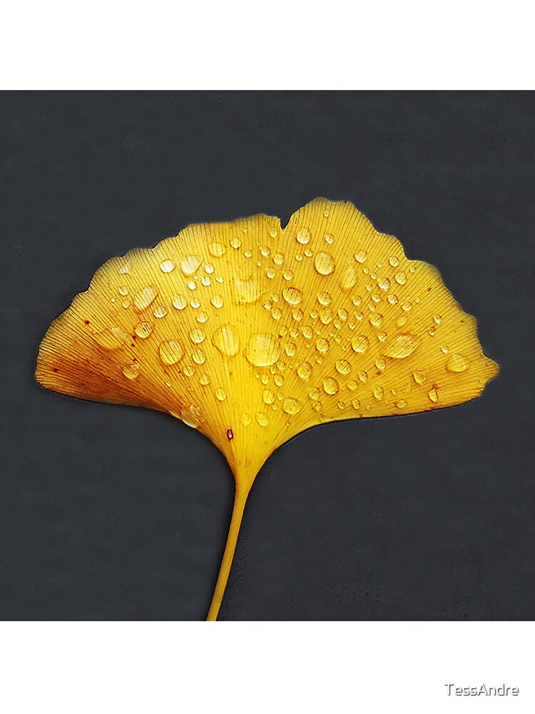 Gingko Biloba Leaf-Gold Leaf-Gingko Leaf-Gingko Leaf Dew by TessAndre