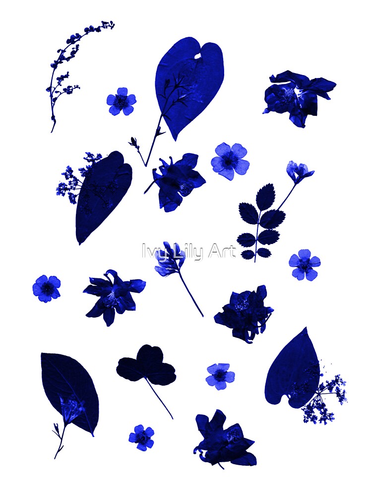 Blue Floral Pressed Flower and Leaf Pattern by Ivy Lily Art