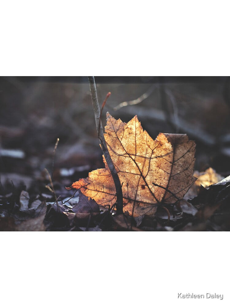 Gold Leaf by Kathleen Daley
