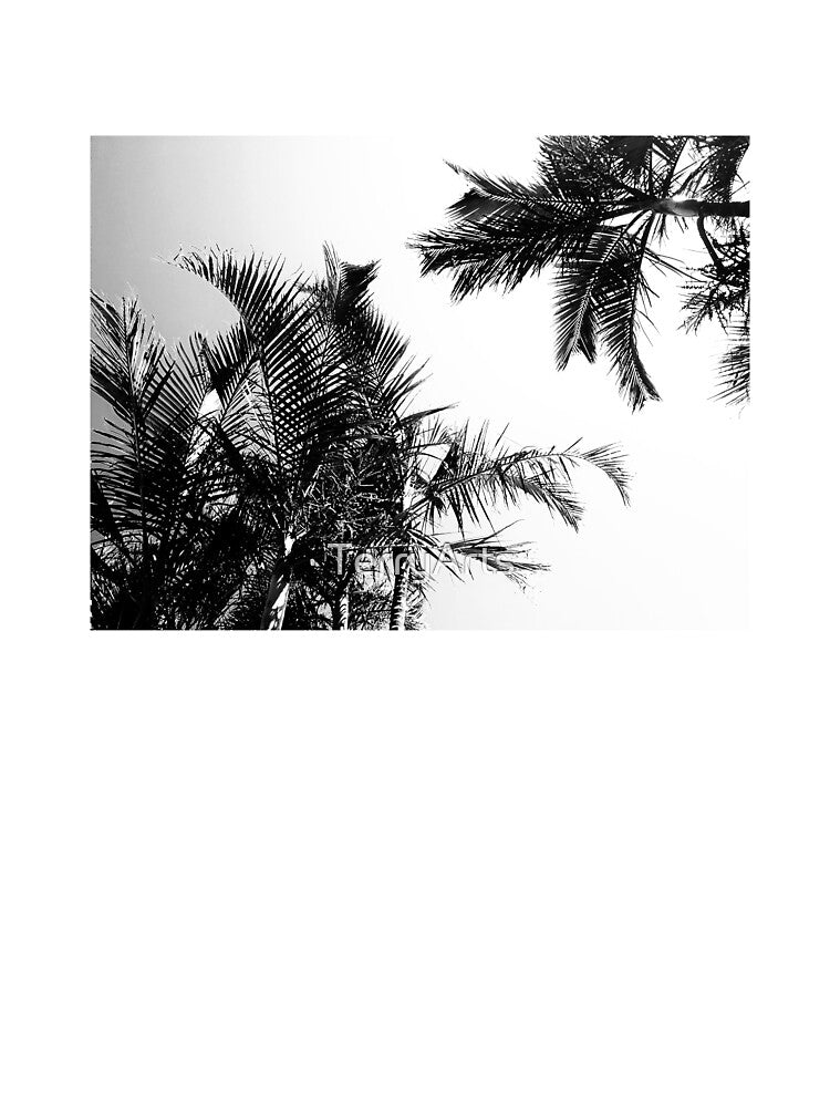 Tropical Style Décor Palm Tree Fronds Black and White by Beachy