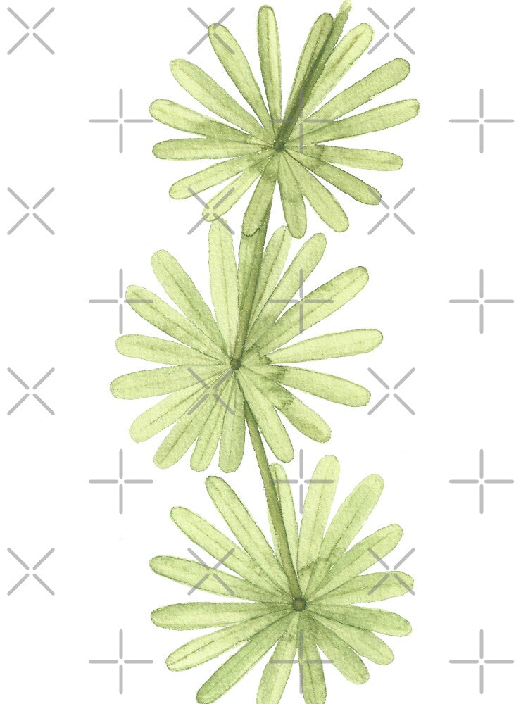 Fossil plant, based on original watercolor by SharonRoseR