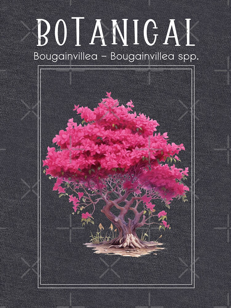 Bougainvillea - Bougainvillea spp. - Botanical Collection by StudioRedKoala