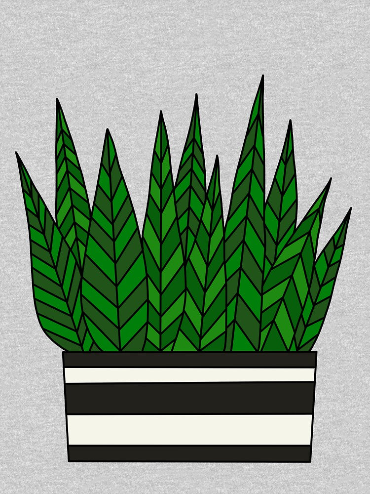 Cute Cactus Design #31: Zebra Succulent by DreamCactus