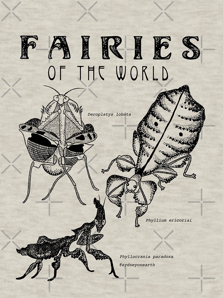 Fairies of the World by sydneyonearth