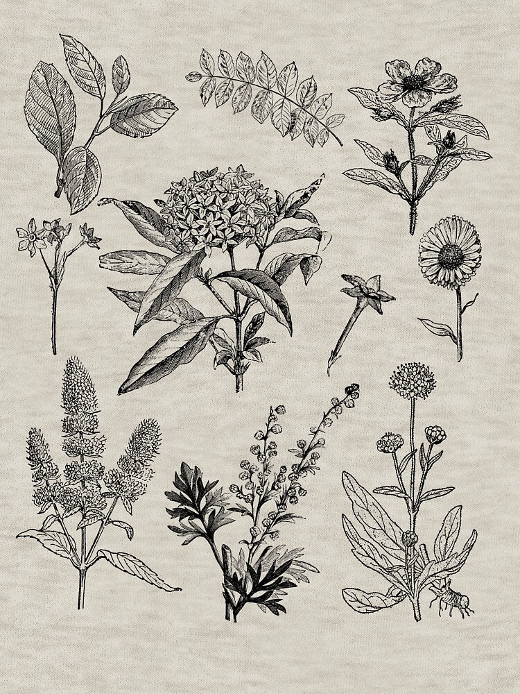 Vintage Flowers - Botanical Graphic by OutfitduJour
