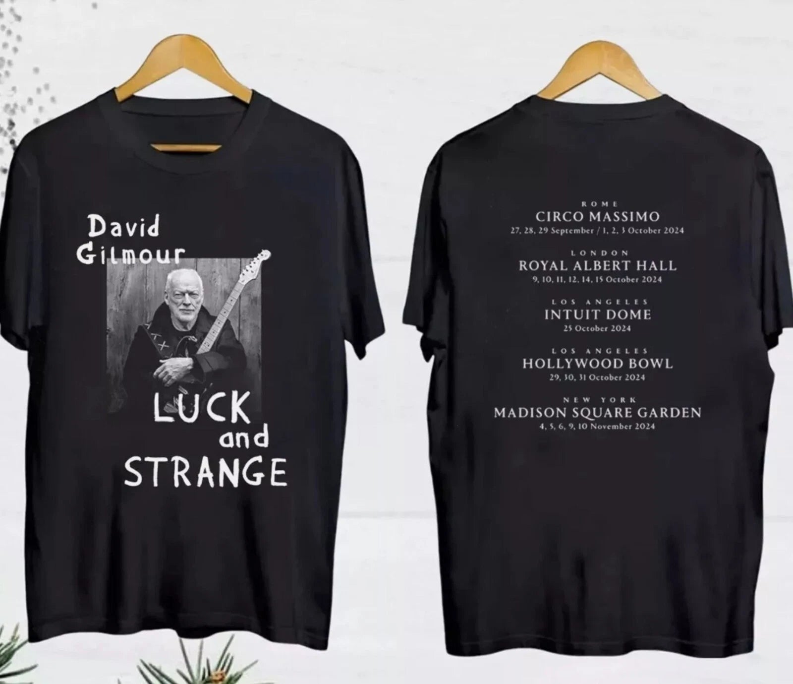 David-Gilmour Luck And Strange 2024 Tour Date Unisex Shirt, 2 styles Fan Shirt