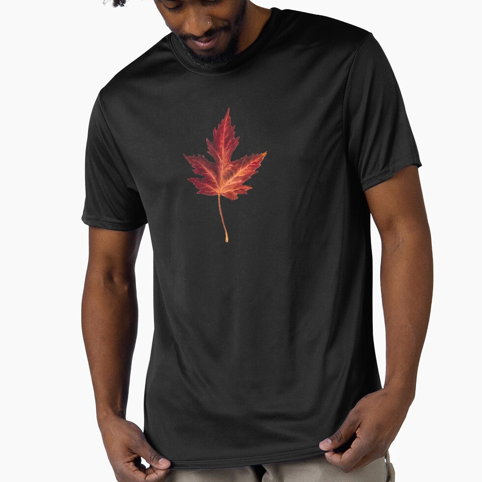 Red Maple Vintage by Noisezzzzz