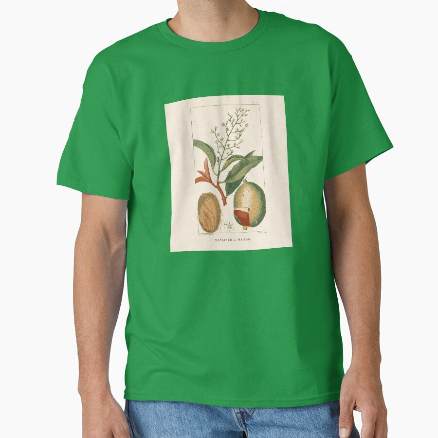 Mango Botanical Art by Wenkatdesigns
