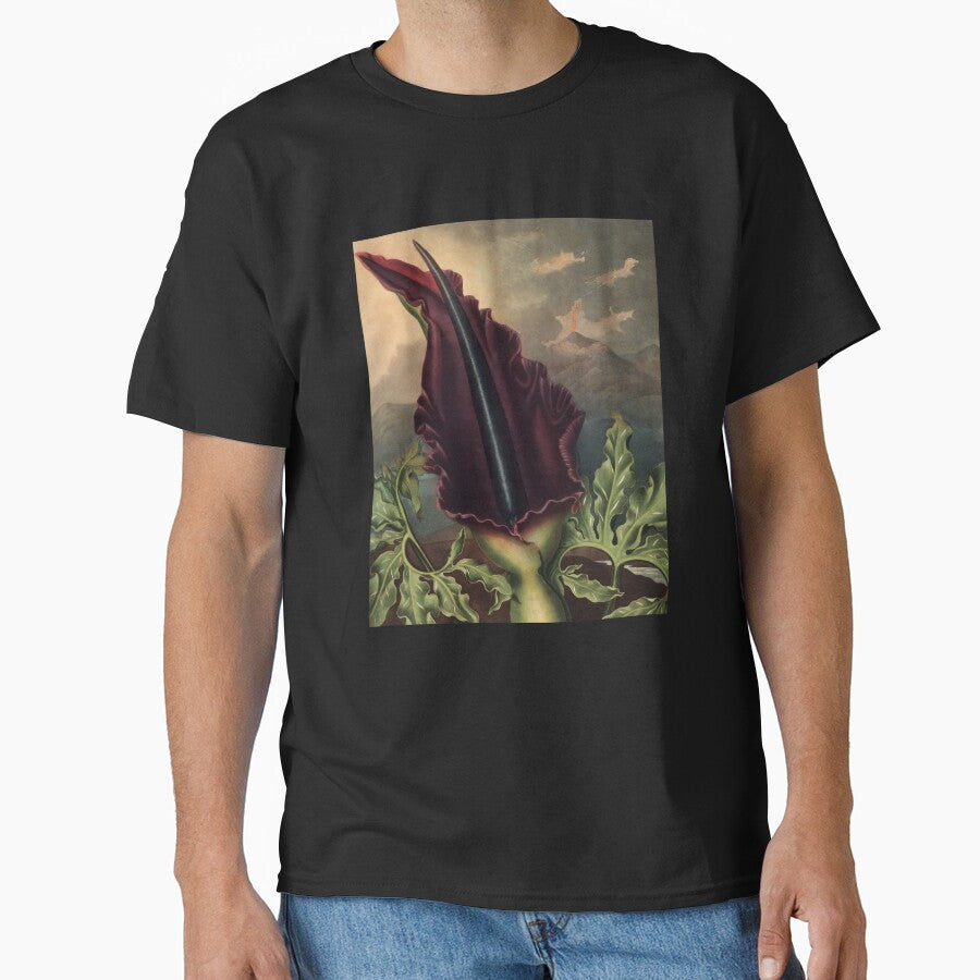 The Dragon Arum by Robert John Thornton Botanical Illustration by InnerCitadel