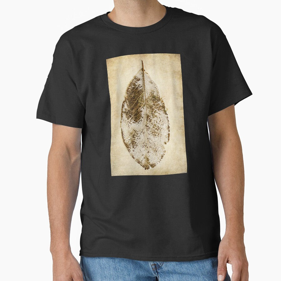 Decayed Leaf 01 by Weston  Westmoreland