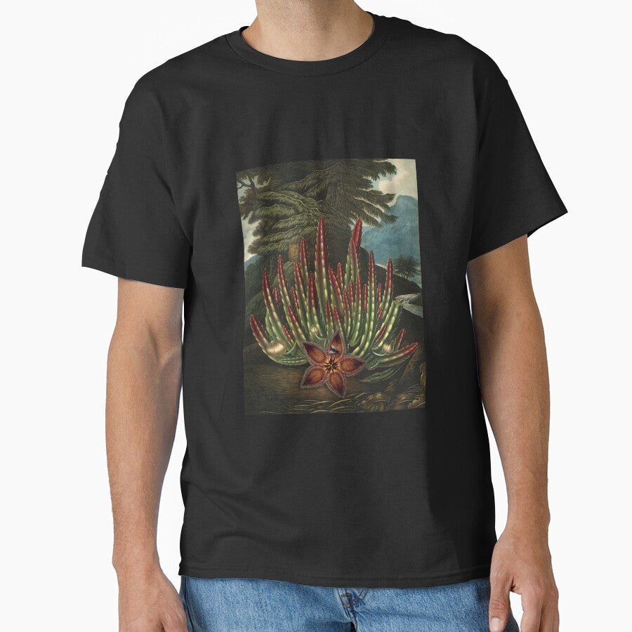 Vintage Flora Illustration Maggot–Bearing Stapelia by InnerCitadel