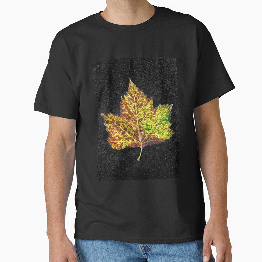 Portrait Of A Fallen Leaf by MyPhotoDreams