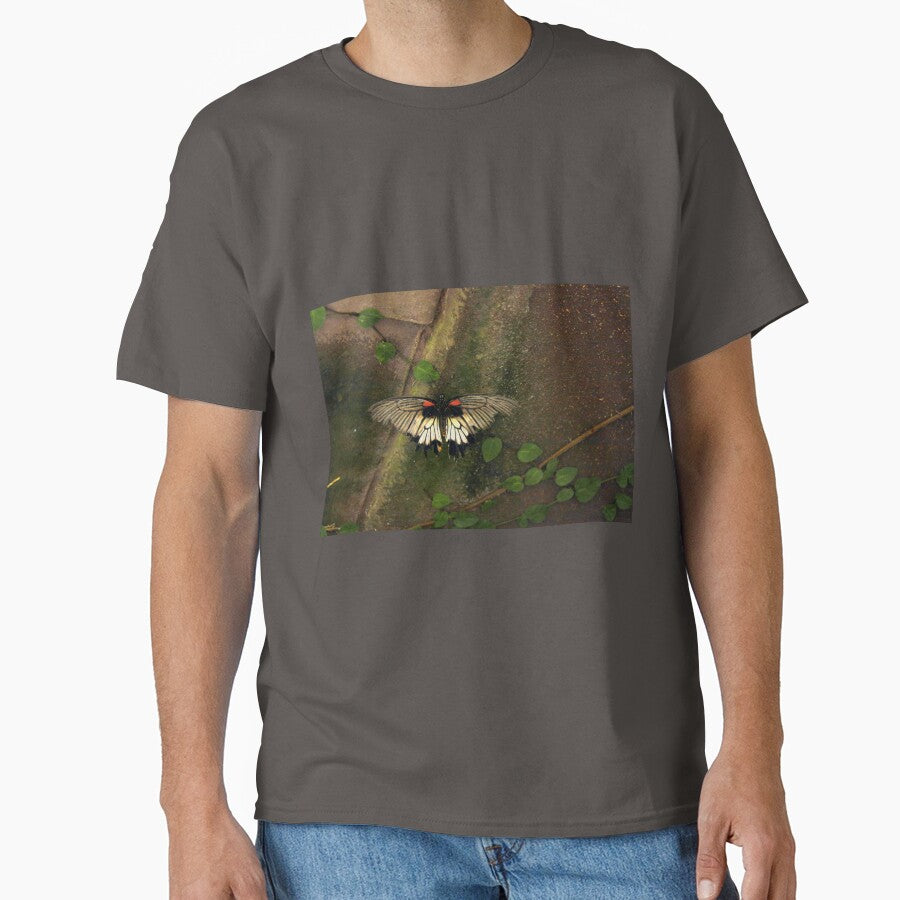 Butterfly by coffeebean