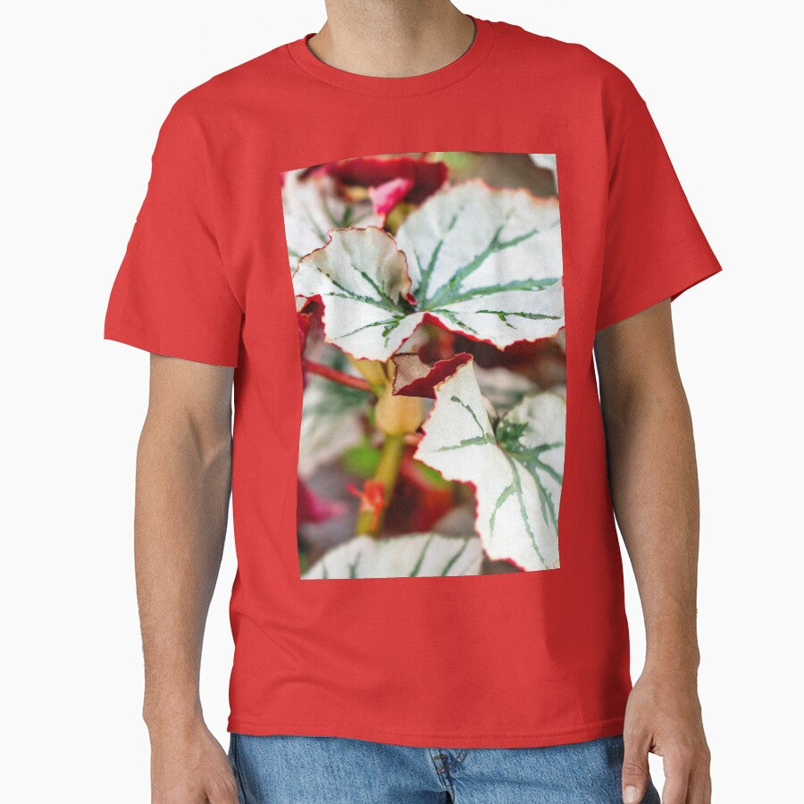 Begonia Looking Glass leaf by Carolyn's Captures - Original Photohgraphy