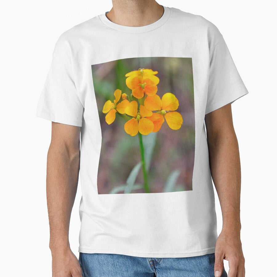 Siberian Wallflower by DesignMore21
