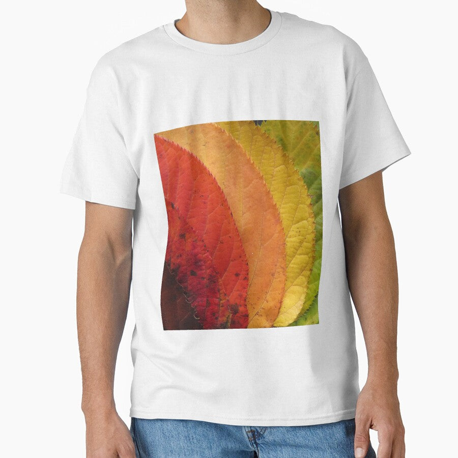 Color Leaf by Moni3572