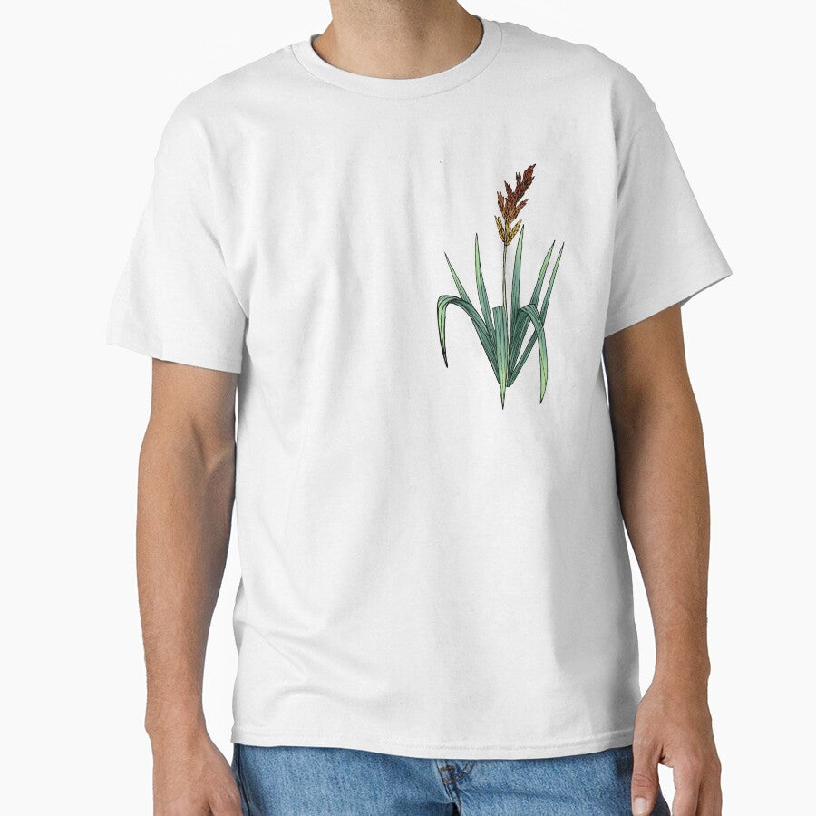 Sorghastrum nutans - Indian grass by Aspen Workman