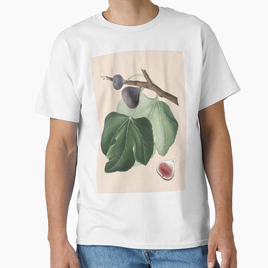 Fig Plant Antique Print, by Arctic frame studio