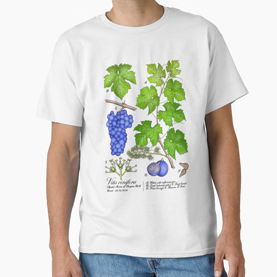 Grape Botanical Plate by LucasKias