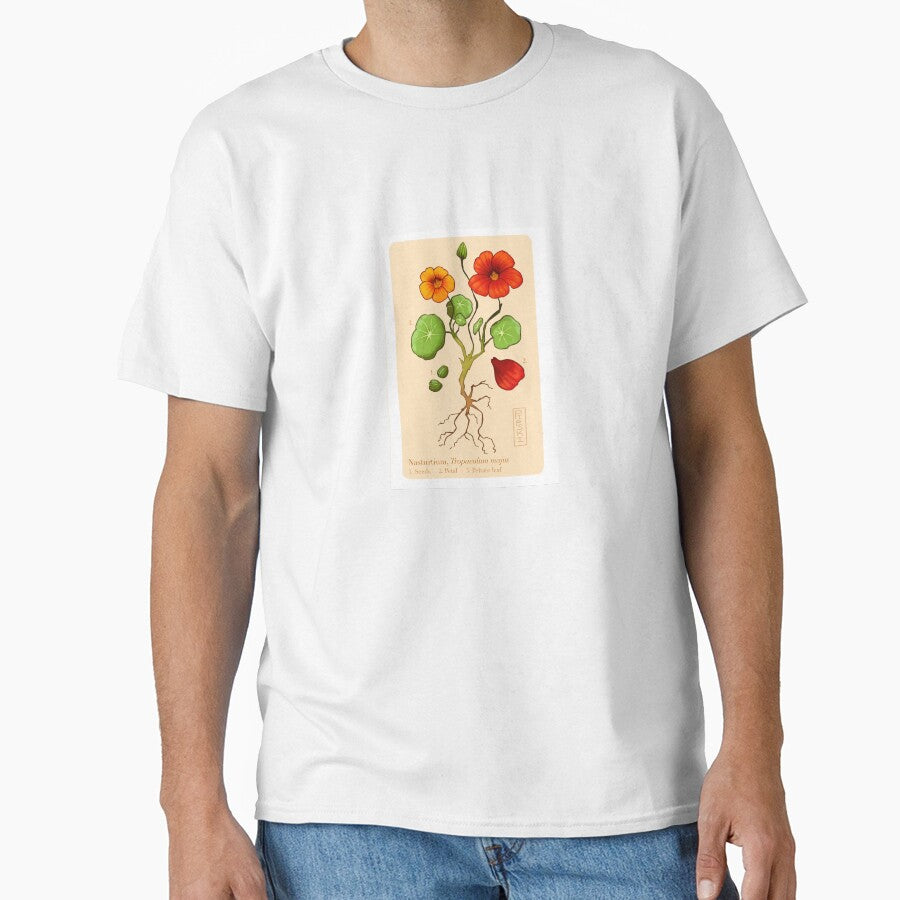 Nasturtiums by pipski
