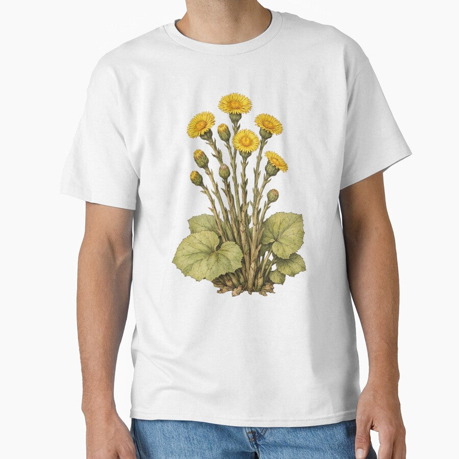 Vintage Coltsfoot Botanical Illustration - Tussilago Farfara Antique Herb Print by Darlin8888