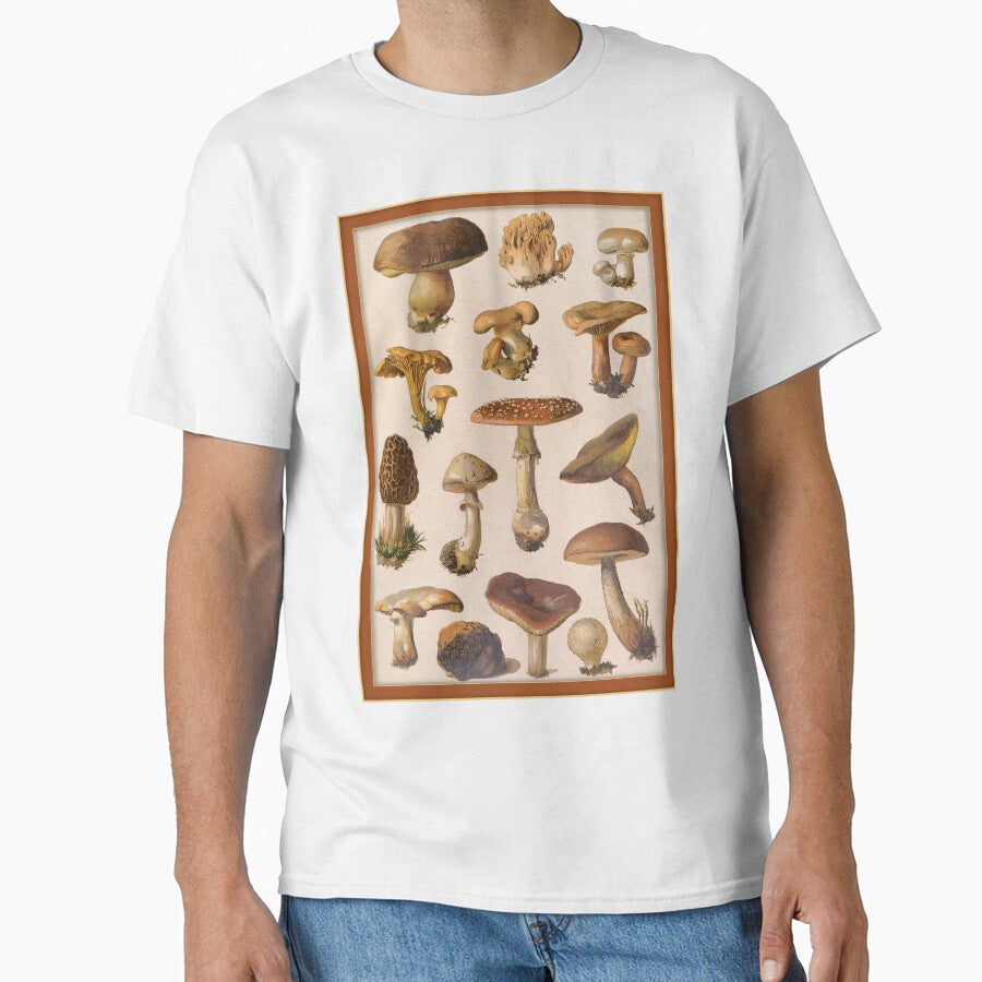 Variety of Botanical Mushrooms by Tridentulus
