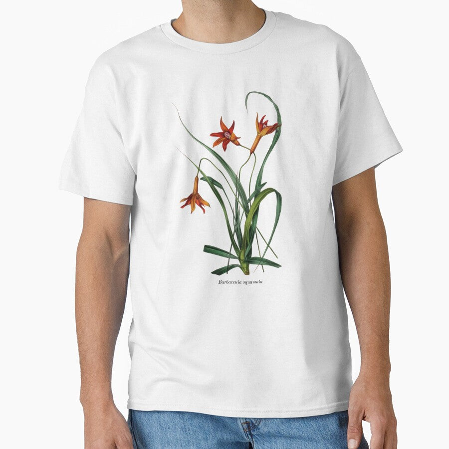 Vintage Botanical Flowers Barbacenia squamata by ambystomatees