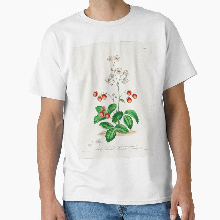 Strawberry Plants | Strawberry Antique Botanical Illustration by TeeARTHY