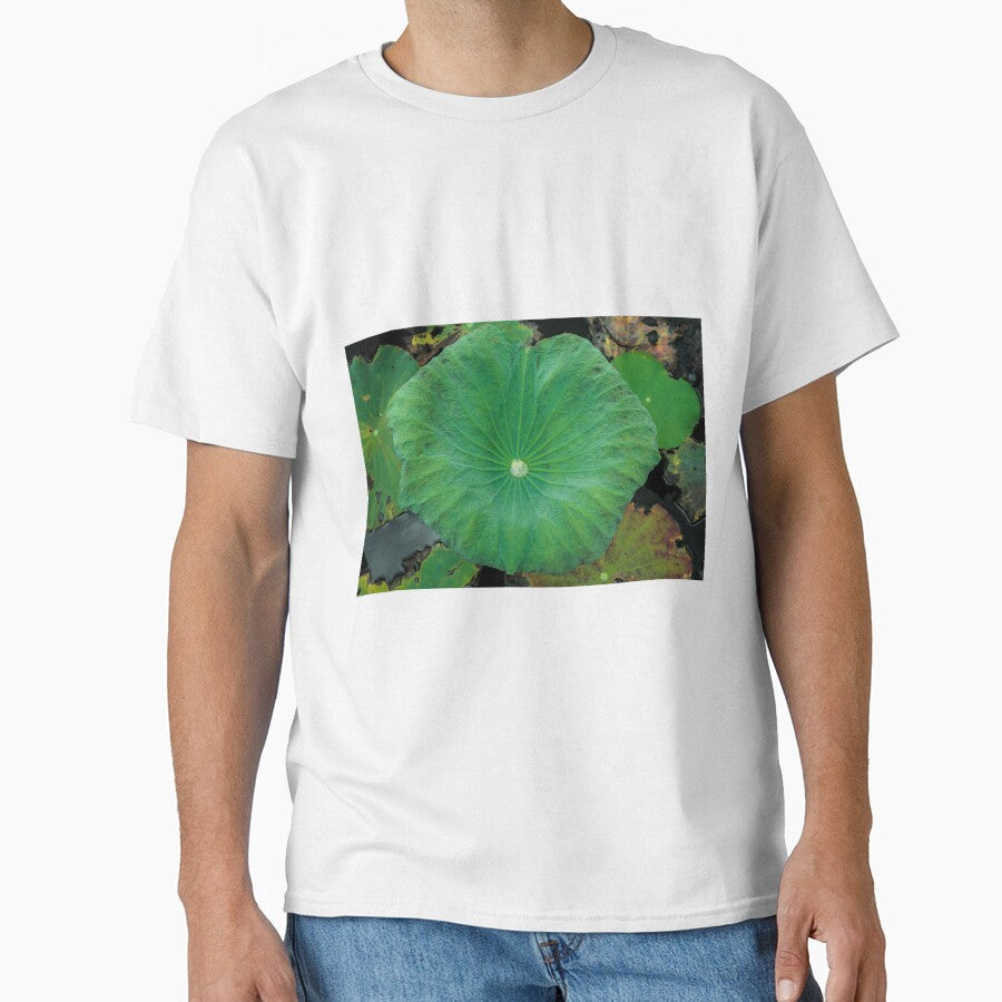 Lotus leaf by March Rider