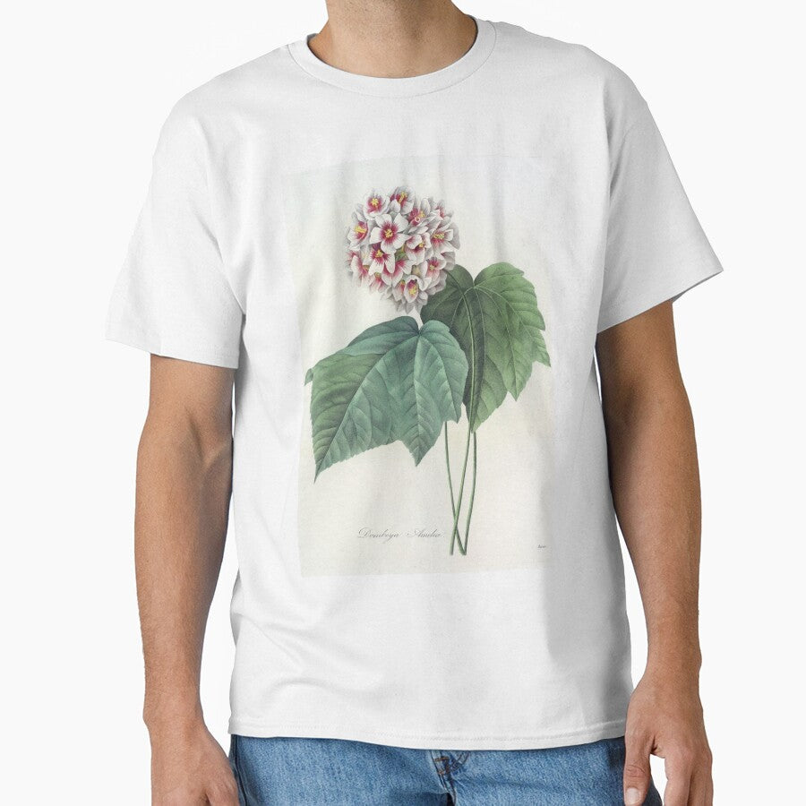 Pierre-Joseph Redouté: Dombeya Ameliae by Tridentulus