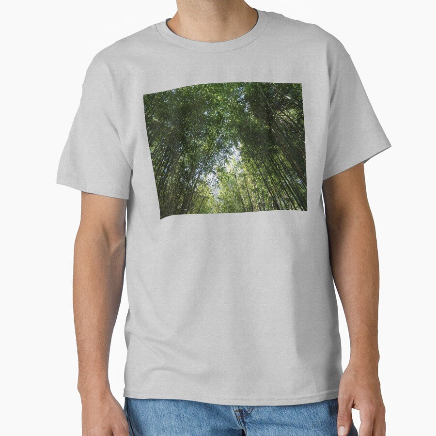 Bamboo Canopy by GardenArtworks