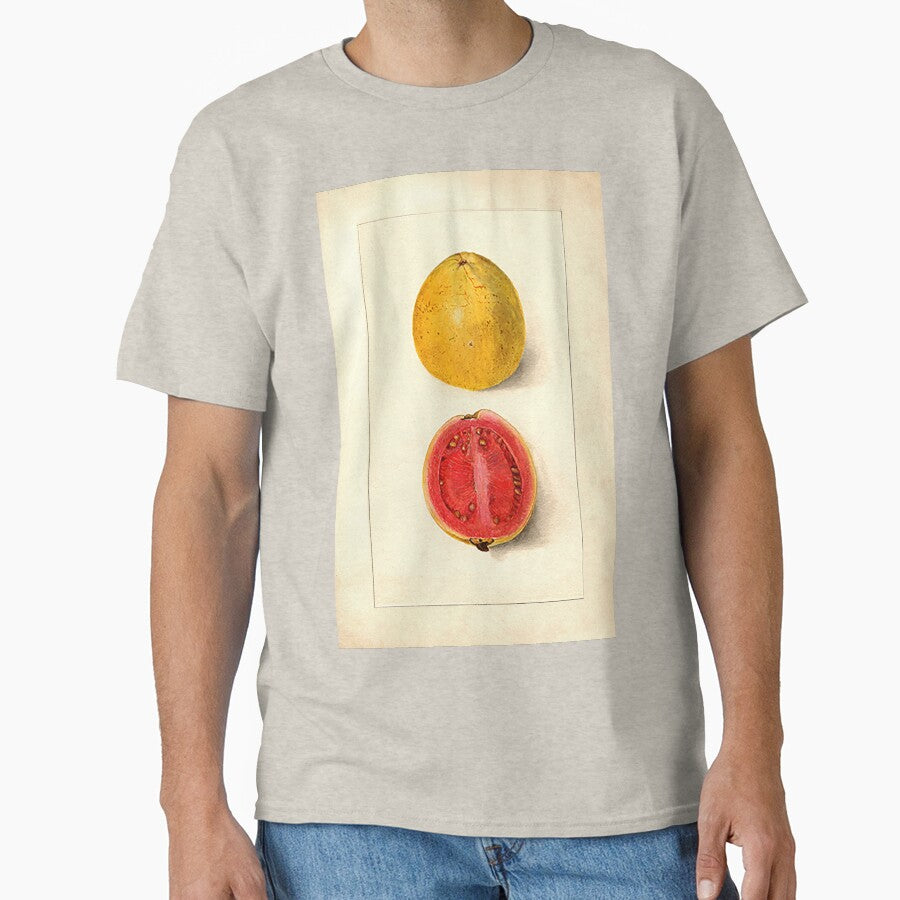 Vintage Botanical Fruit painting cut Guava by Glimmersmith
