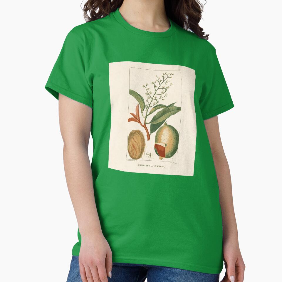Mango Botanical Art by Wenkatdesigns