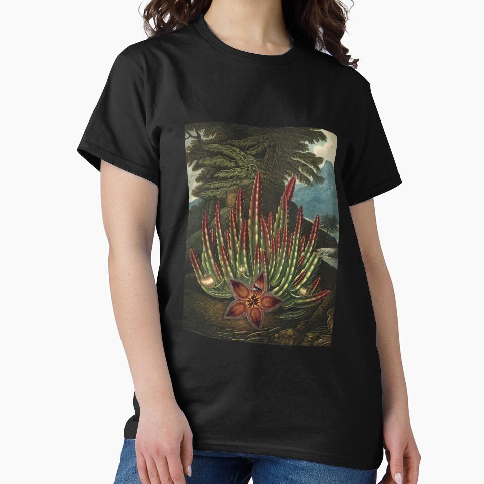 Vintage Flora Illustration Maggot–Bearing Stapelia by InnerCitadel