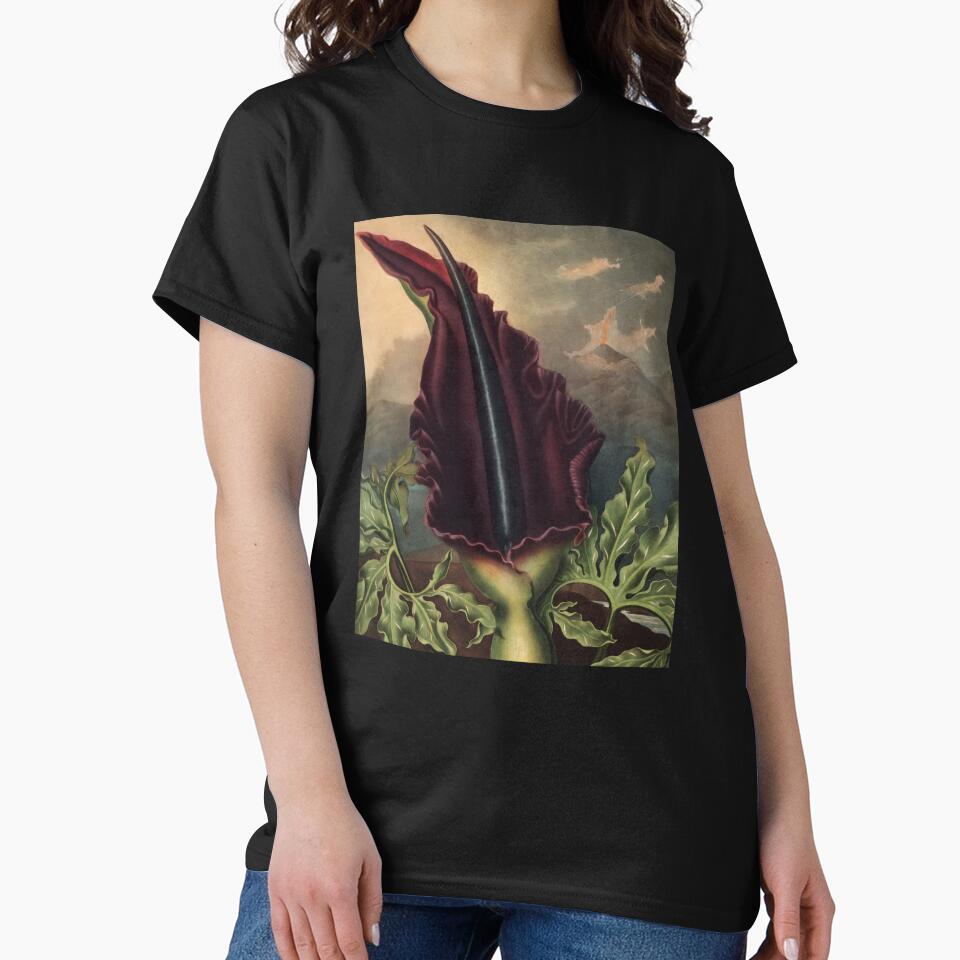 The Dragon Arum by Robert John Thornton Botanical Illustration by InnerCitadel