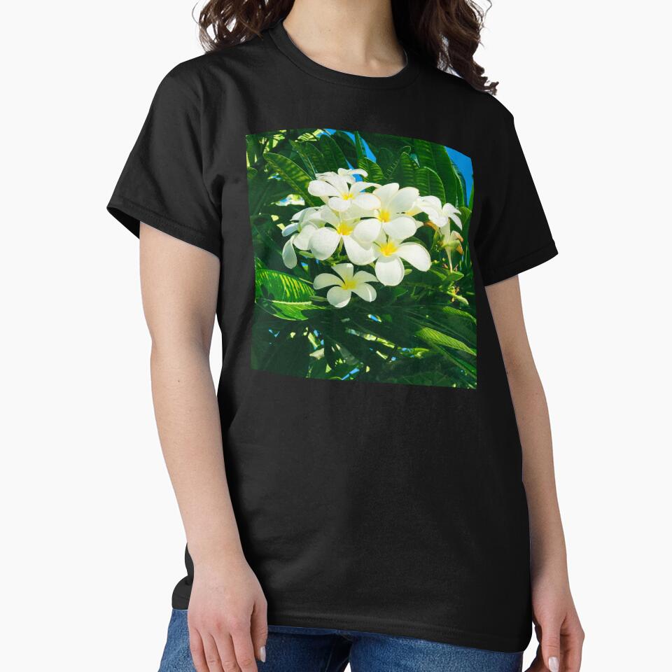 Pleasant Hawaiian Tropical Plumeria Flowers Art Photo by DEC02