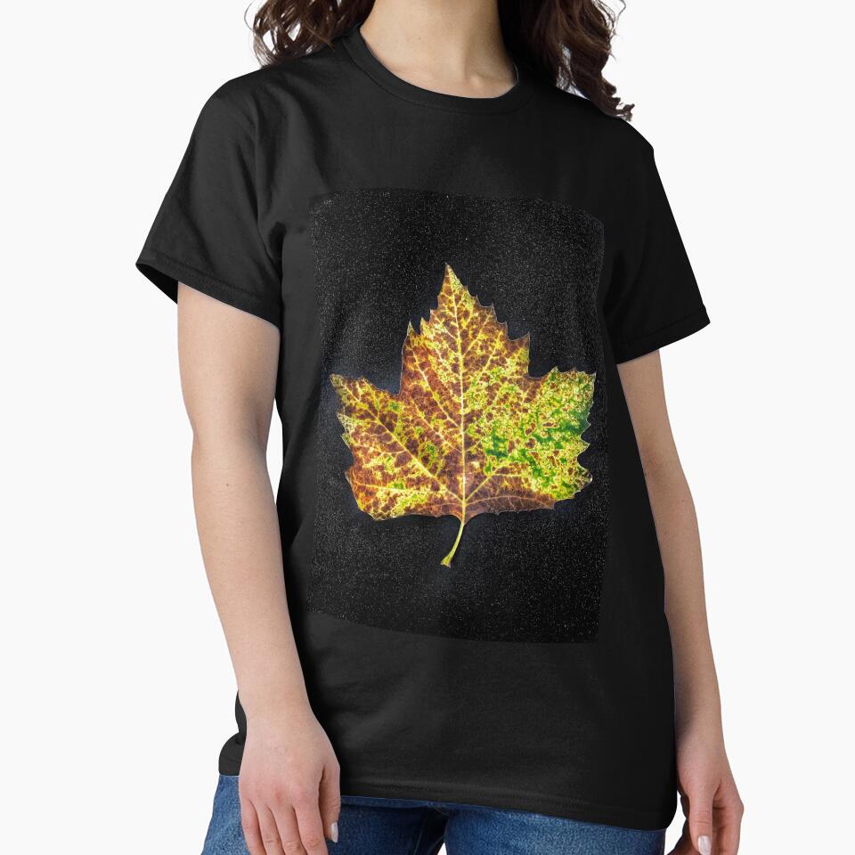 Portrait Of A Fallen Leaf by MyPhotoDreams