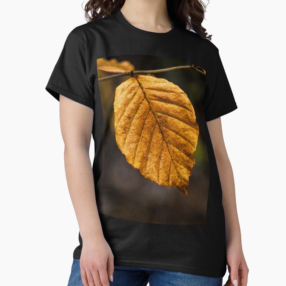 A golden brown solitary beech leaf in winter by Cameranick