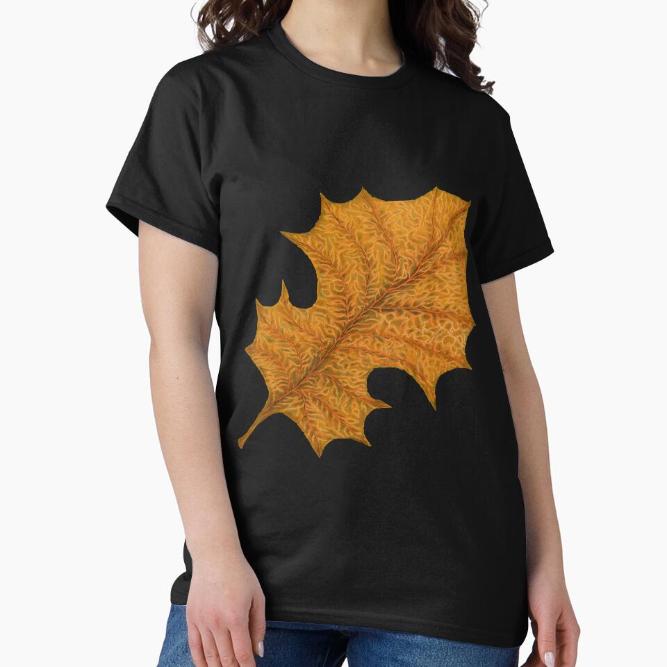 Fall Leaf by myimpression