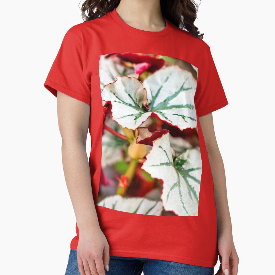 Begonia Looking Glass leaf by Carolyn's Captures - Original Photohgraphy