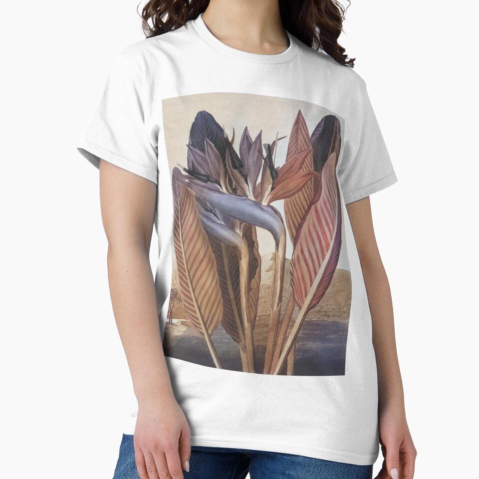 Vintage Bird of Paradise Watercolor Painting Recolored by Hybridized
