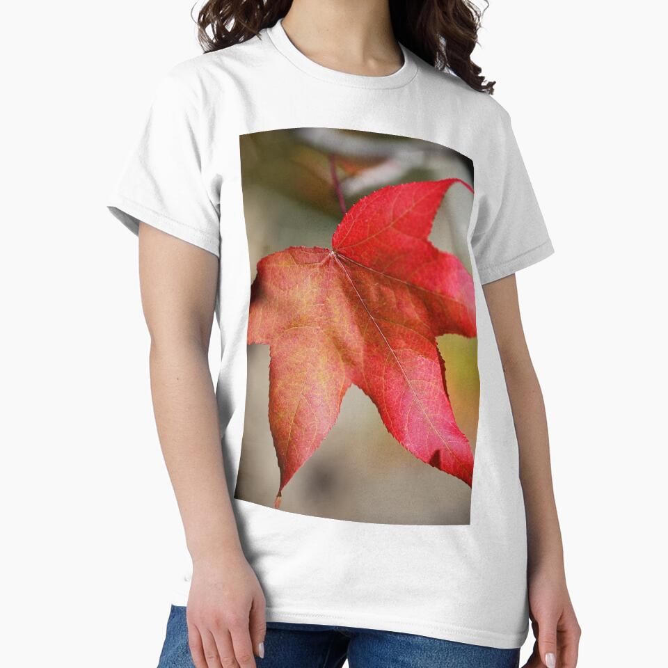 Beautiful Liquidambar Leaf by Joy Watson - Natural Light Photography