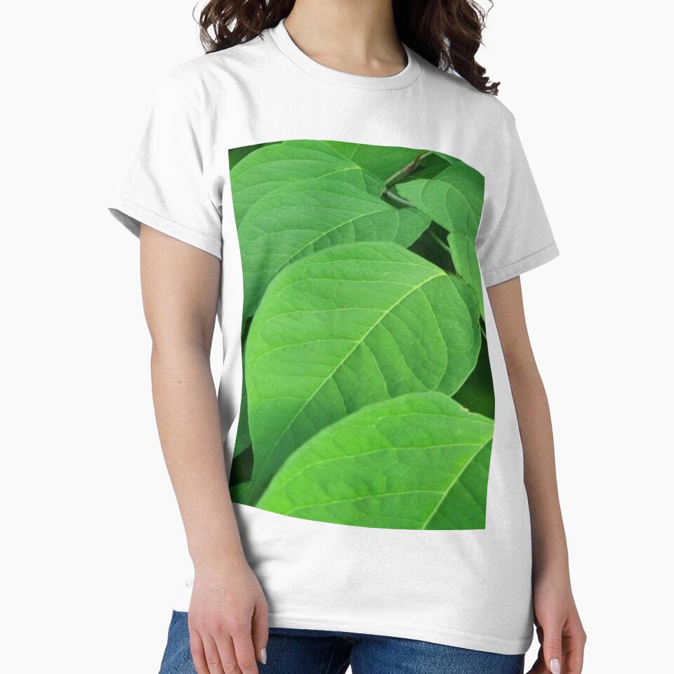Leafs by Rainbowland123