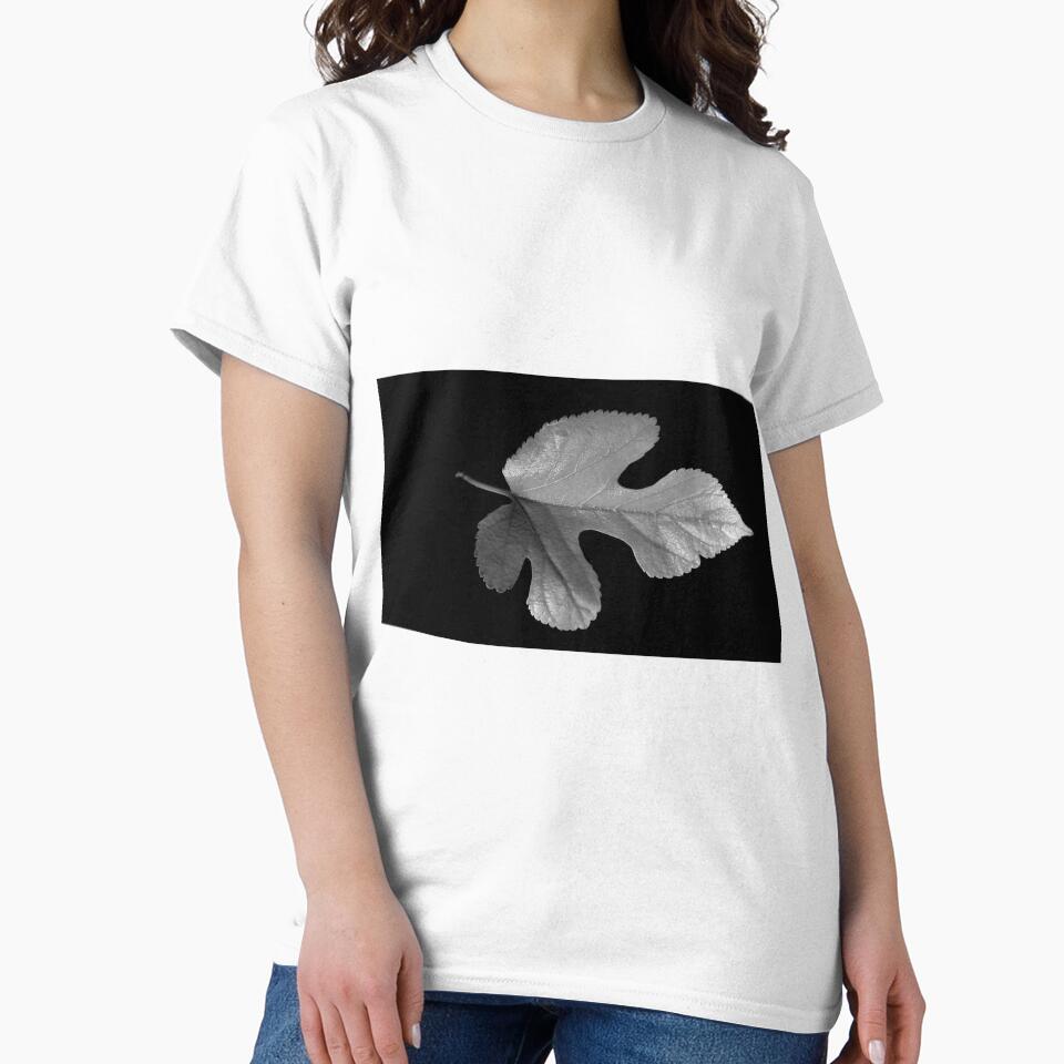 LEAF IN BLACK AND WHITE (2) by Sandra  Aguirre