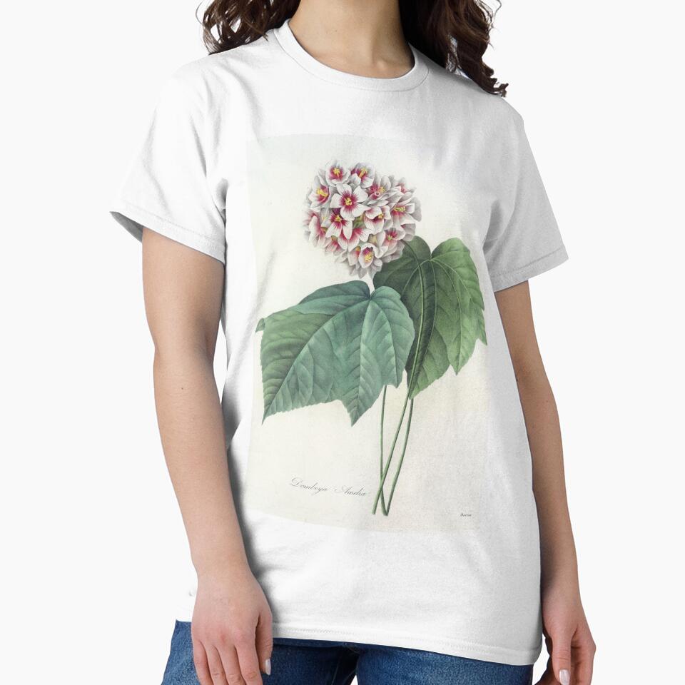 Pierre-Joseph Redouté: Dombeya Ameliae by Tridentulus